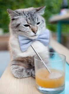 伊布，在拜仁与皇马的夹缝中，一个非典型核心的攻防诗篇